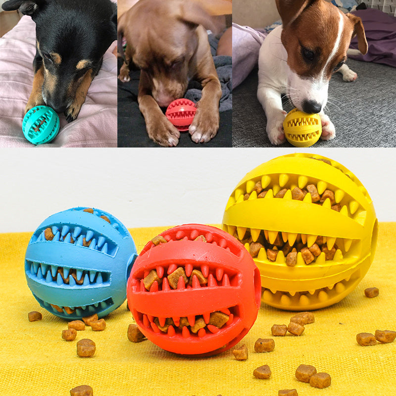 Pet Slow Feeder Dog Toy