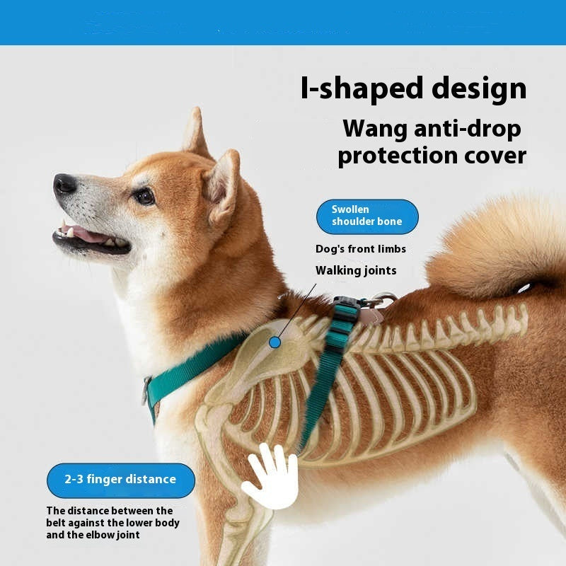 Dog Rope Leash Okinawa Dog Leash