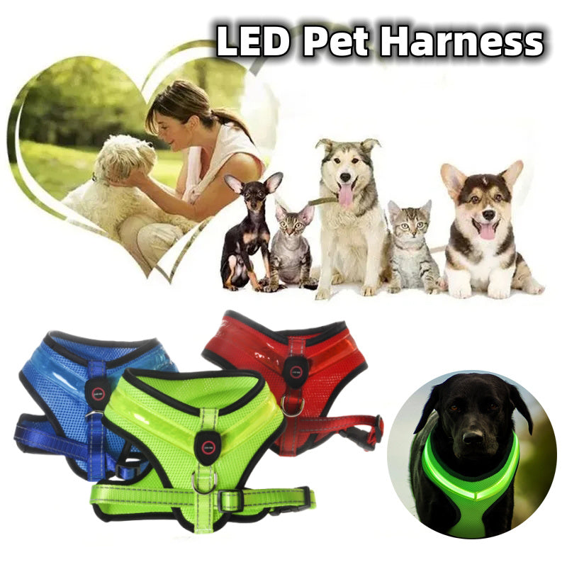 LED Luminous Dog Harness Led USB