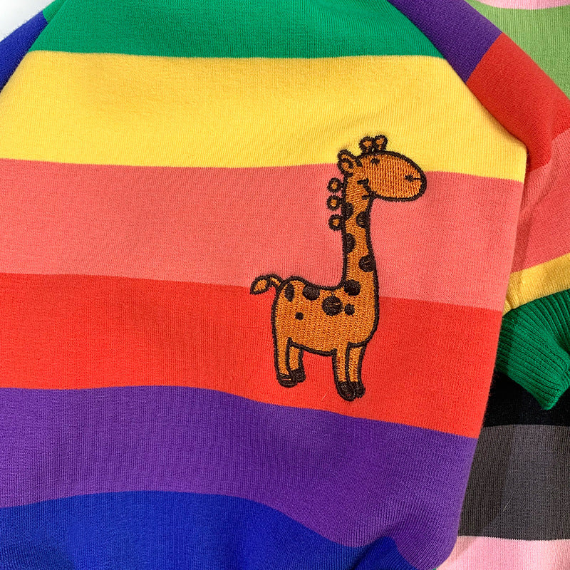 Rainbow Pet Clothing Plus Velvet