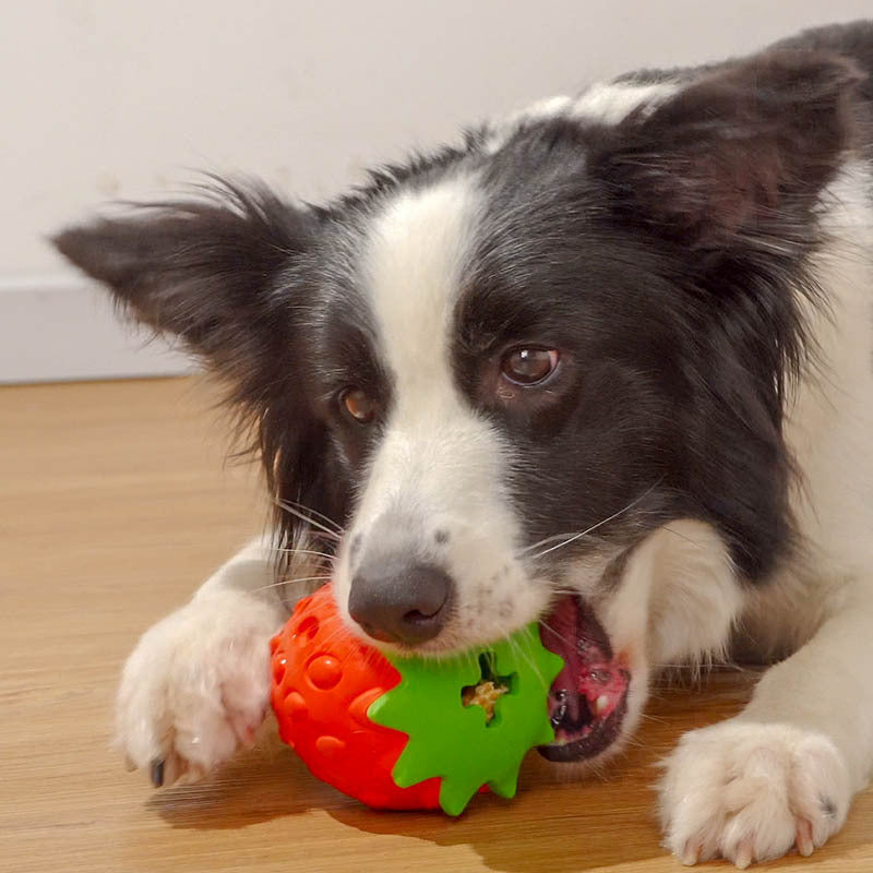 Tooth Bite Resistant Toy Ball
