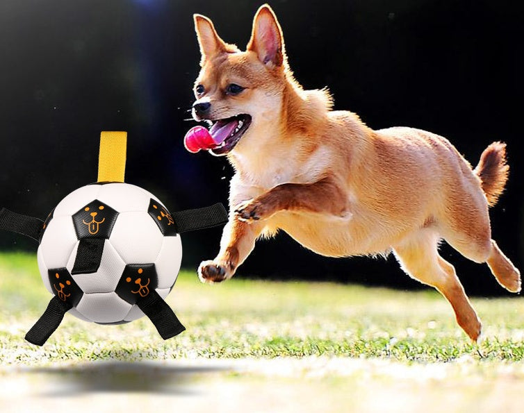 Outdoor Ball Football Dog