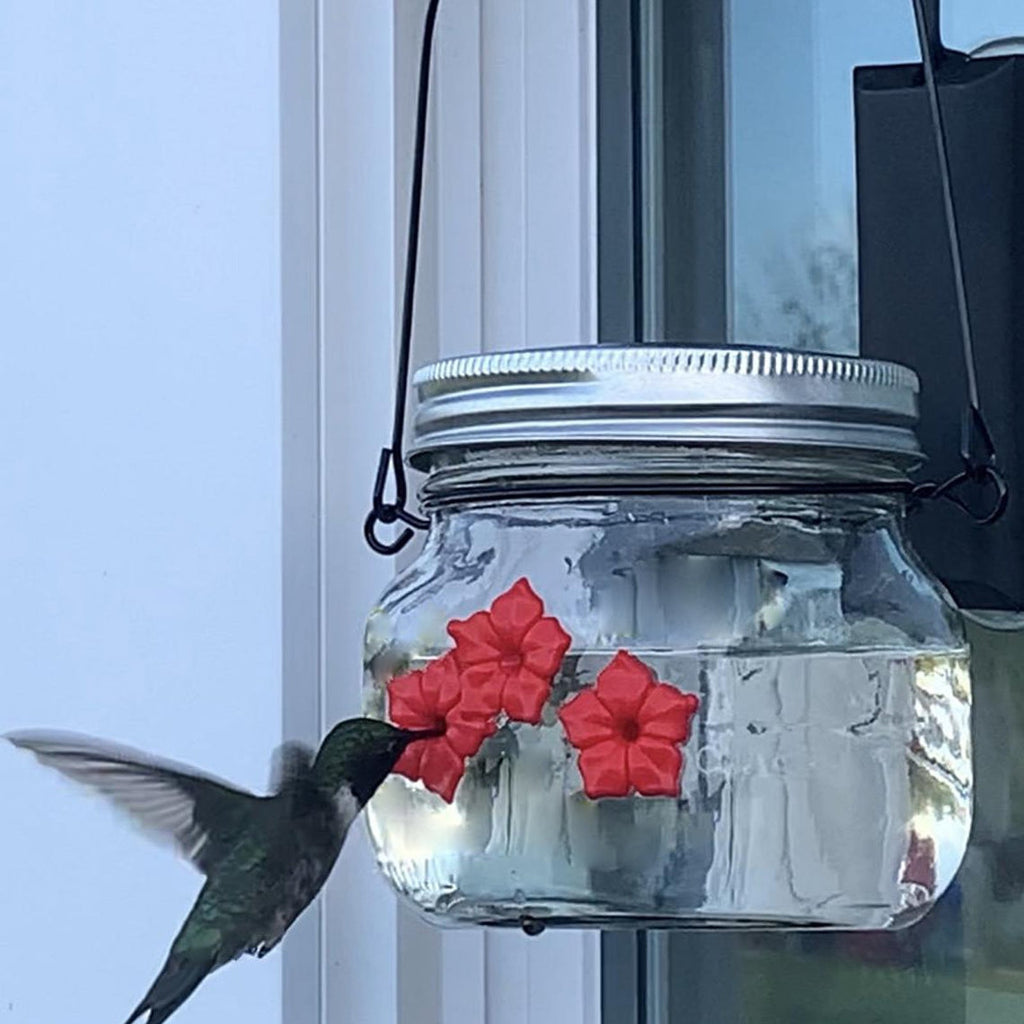Feeder Plastic Flower Bird Feeder