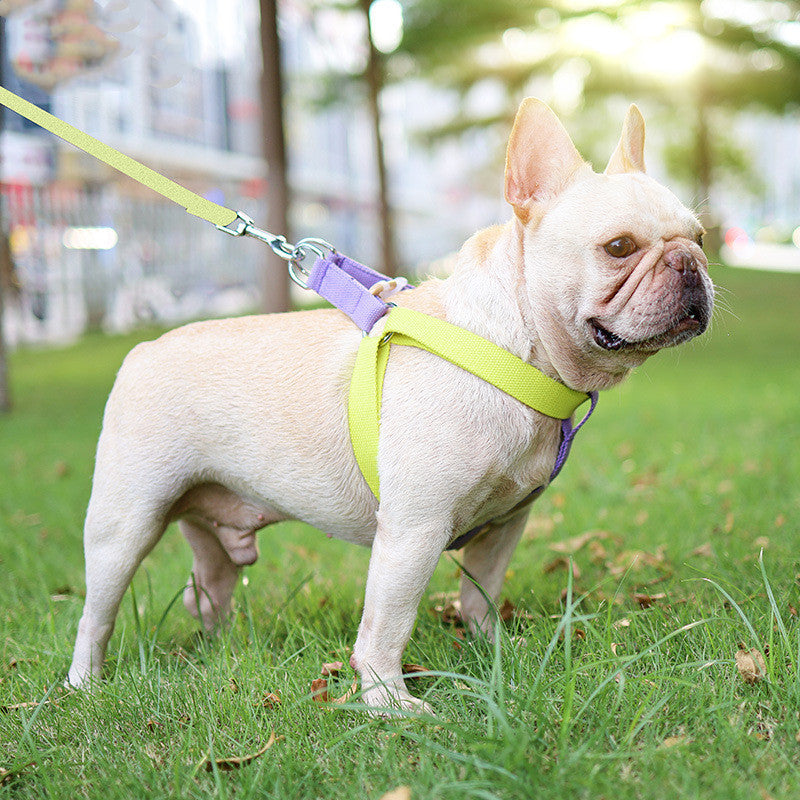 Drawstring Leash Vest-style Dog Leash