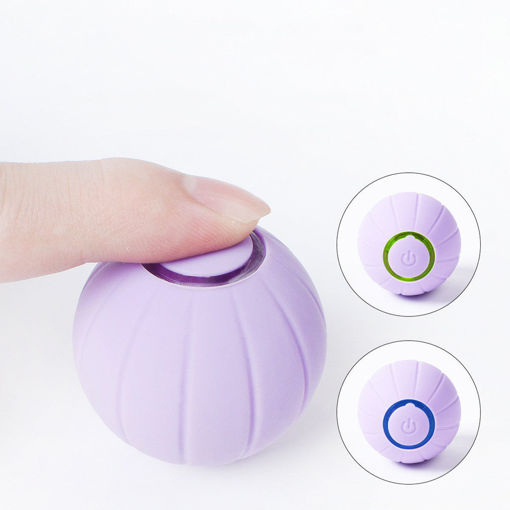 Bouncing Rolling Silicone Ball Toy
