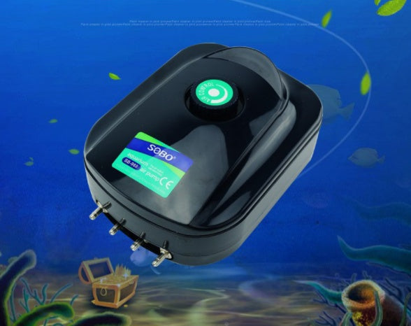 Aquarium Fish Culture Oxygenation
