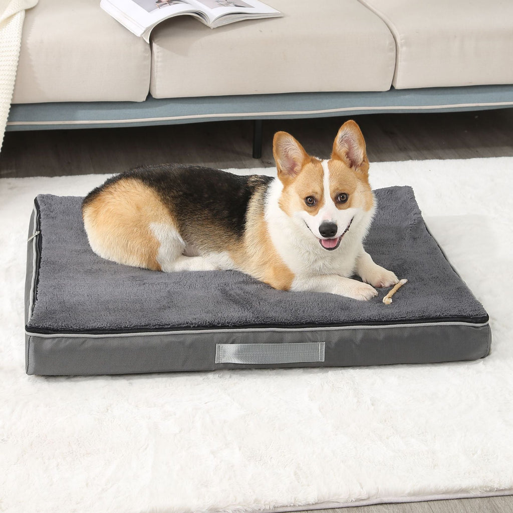 Plush Memory Foam Dog Bed