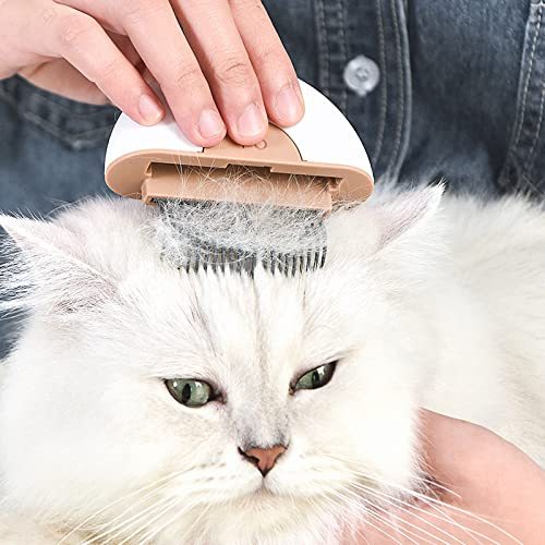 Cat Brush Dog Grooming Supplies Pet Grooming