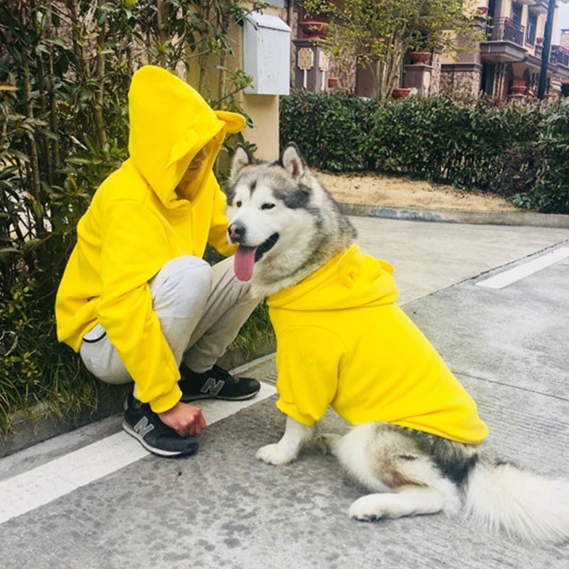 Dog sweater four seasons