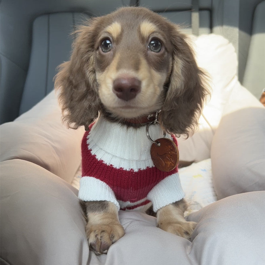 Cat Warm Thickened Sweater