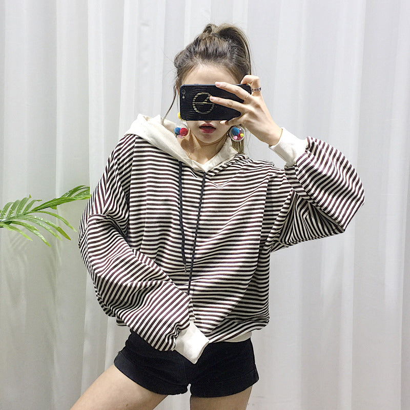 Dog Terry Sweater--small dogs