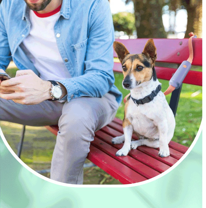 Retractable Adjustable Dog Leash