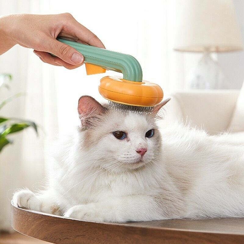 Dog Brush For Pet Grooming