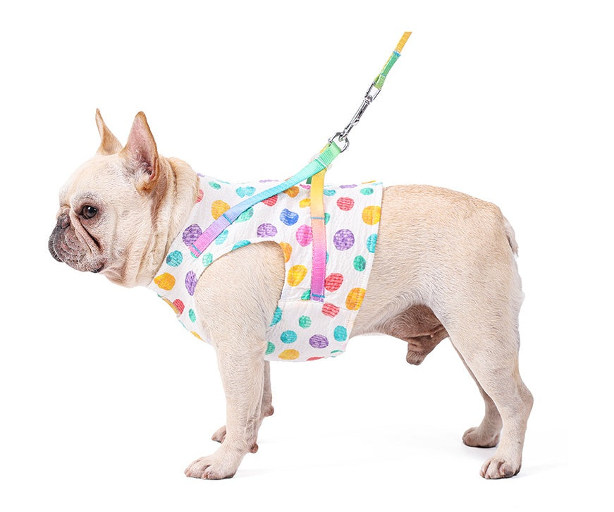 Pet Small Or Medium Sized Dog