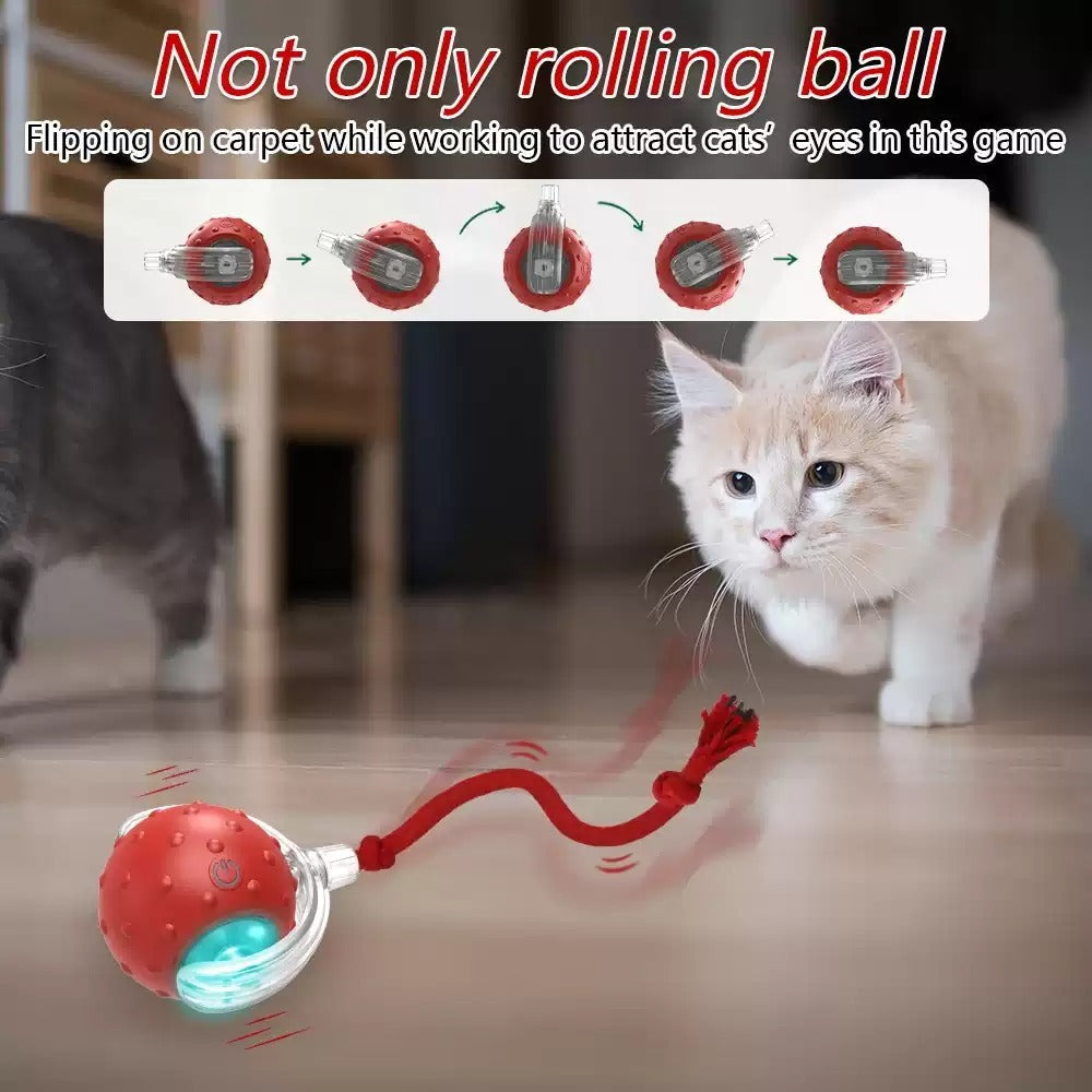 Super Drive Cat Rolling Balls
