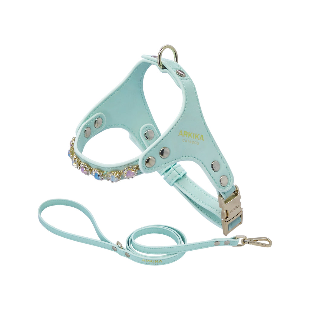 Dog Harness And Leash