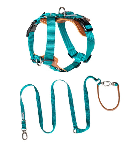 Dog Rope Leash Okinawa Dog Leash
