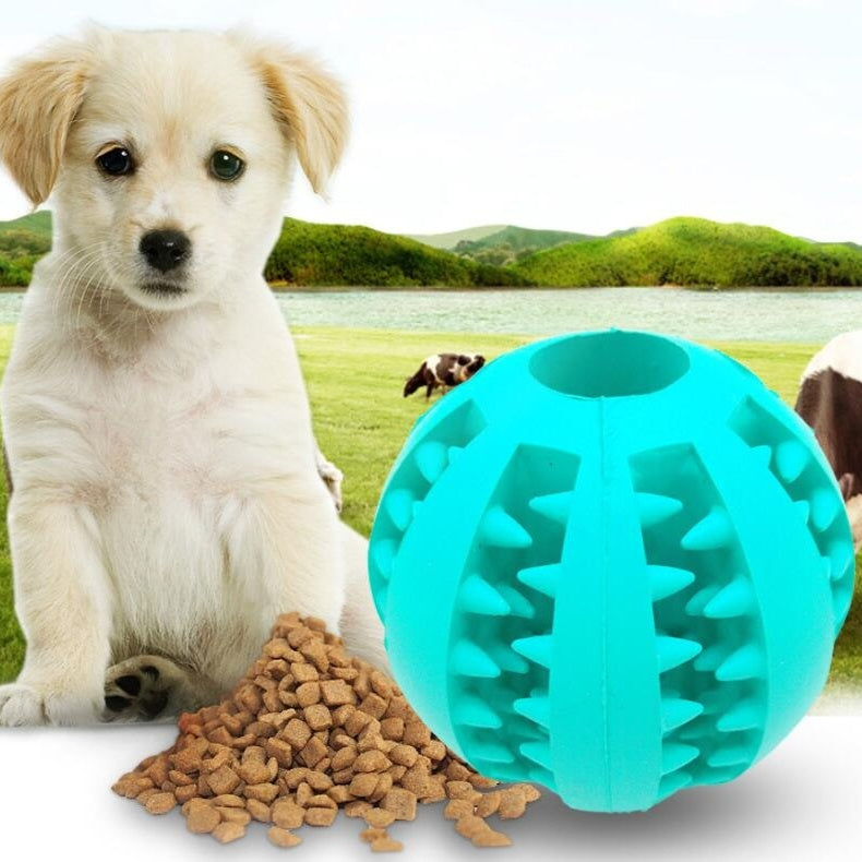 Pet Slow Feeder Dog Toy