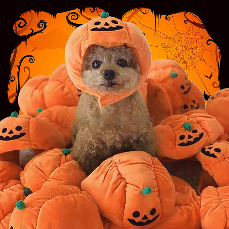 Funny Pumpkin Hat Cute Pet Animal Costume