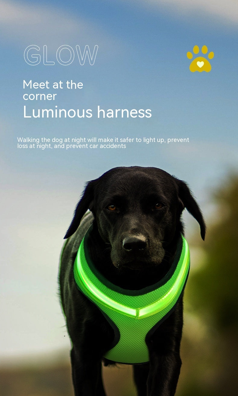 LED Luminous Dog Harness Led USB