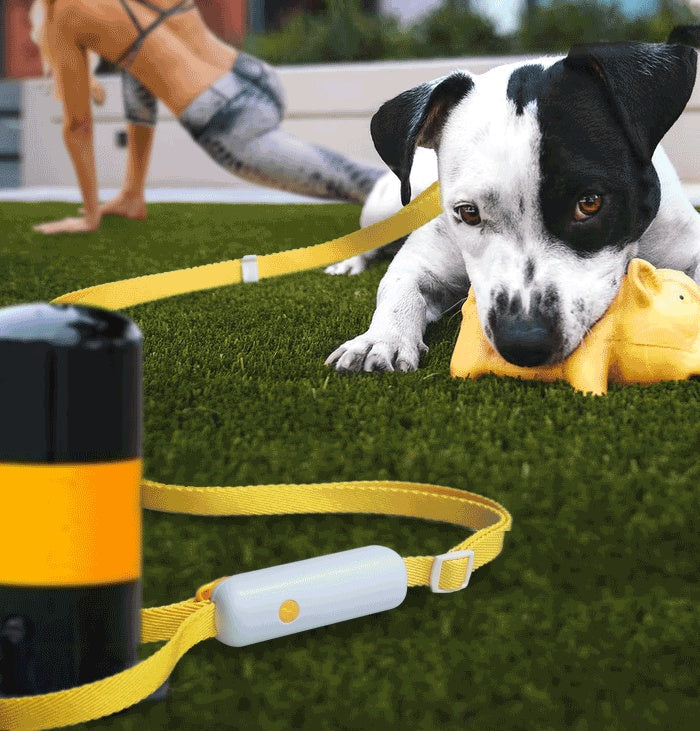 Retractable Adjustable Dog Leash