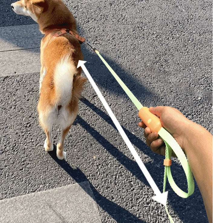 Retractable Adjustable Dog Leash