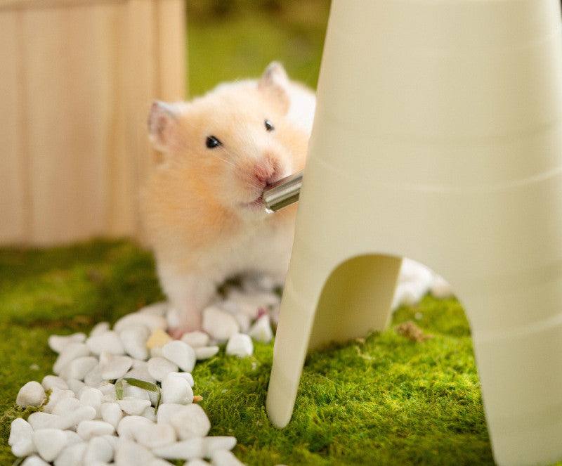 Hamster Water Bottle Drinker Feeder